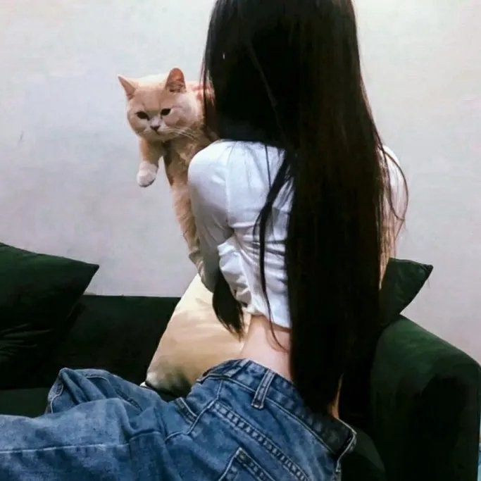 林肯律师